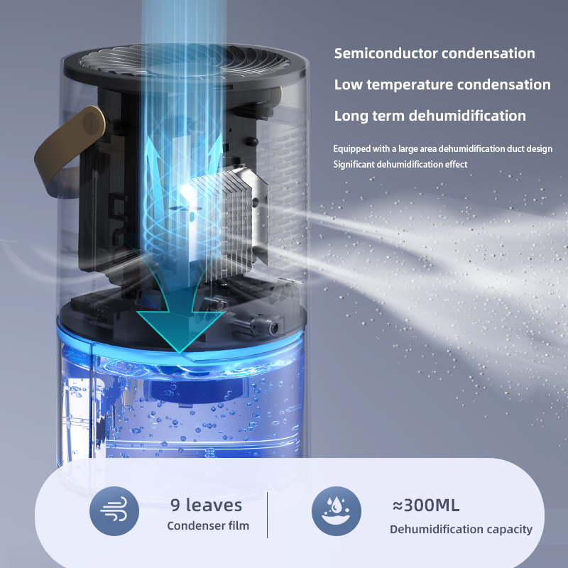 1000 ml luchtontvochtiger luch - Idli Steamer Mold recensie en prijs