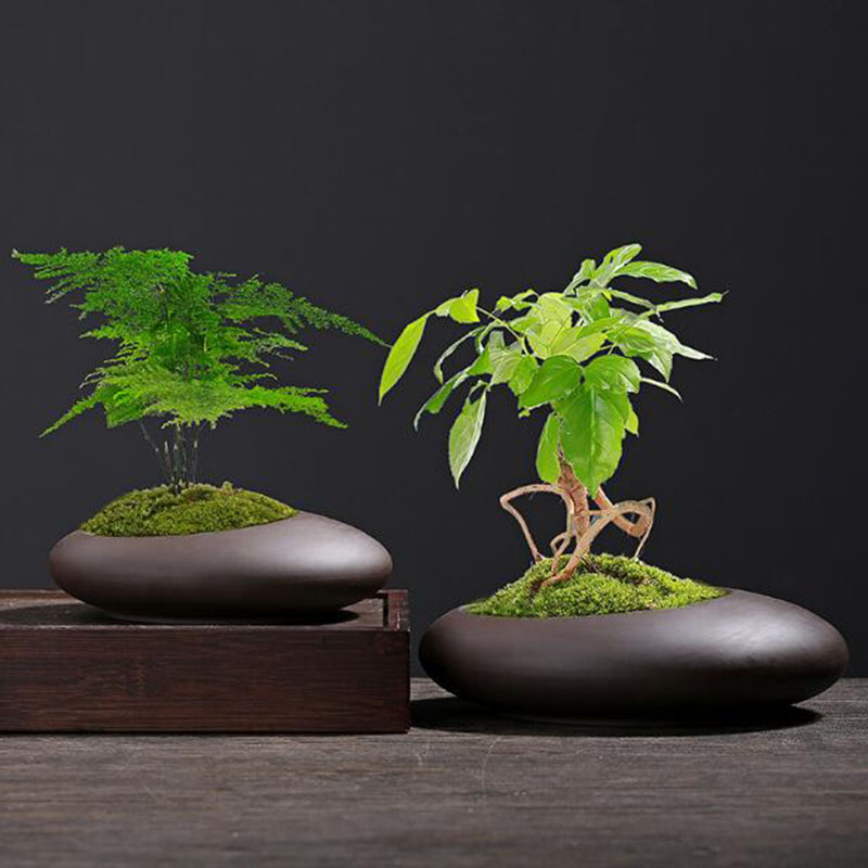 Retro Paarse Klei Plantenpot C - Tagine Clay Pot recensie en prijs