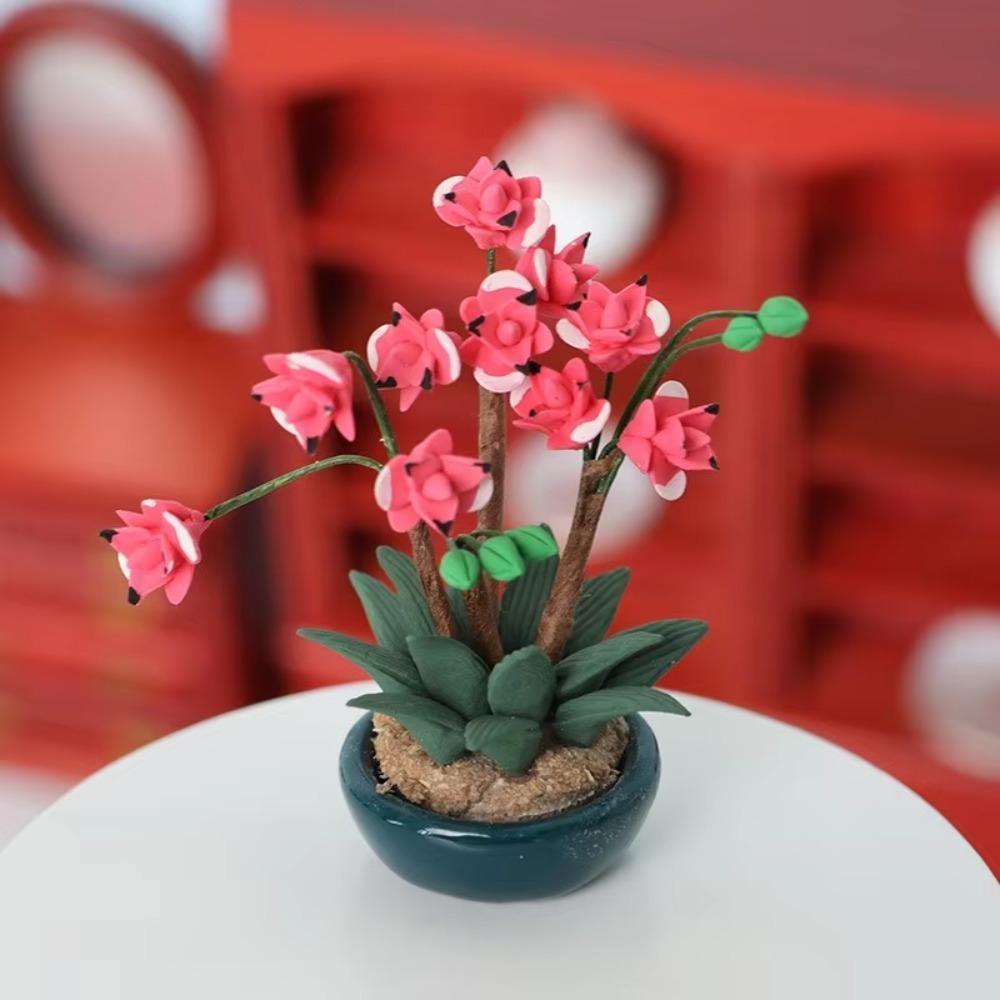 Miniatuur Bloempotten Tuin Scè - Tagine Clay Pot recensie en prijs